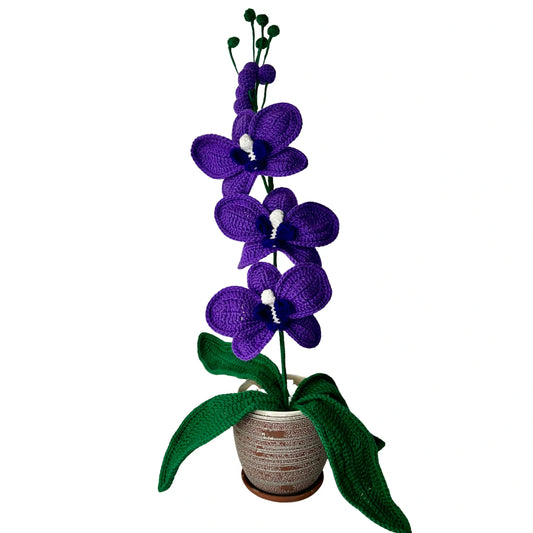 Crochet Orchid