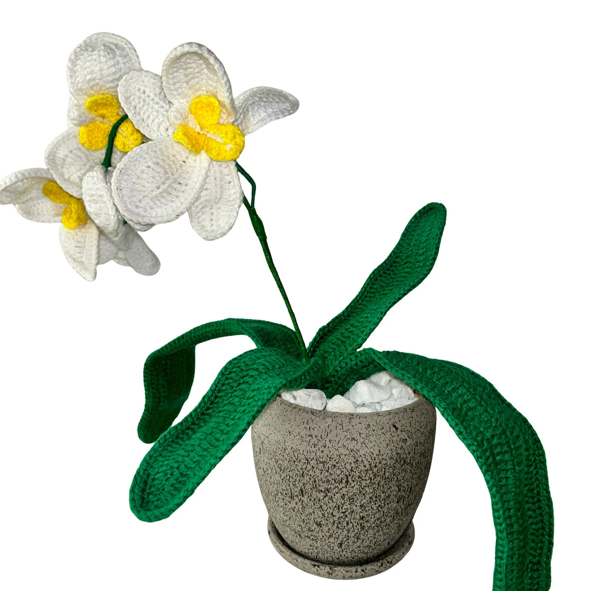 Crochet Orchid
