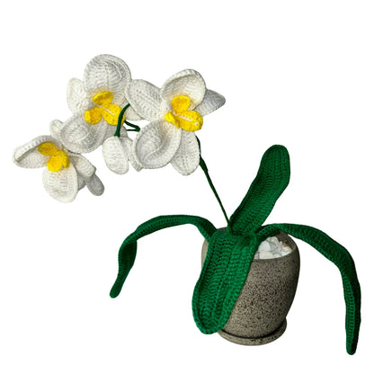Crochet Orchid