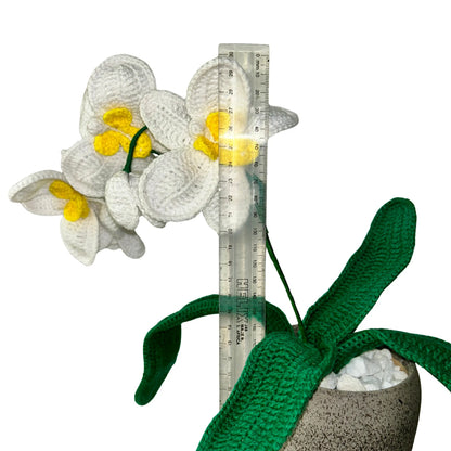 Crochet Orchid