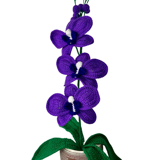 Crochet Orchid