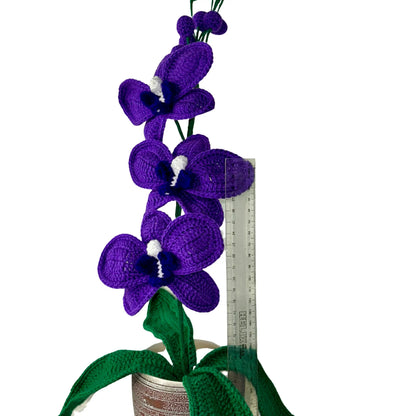 Crochet Orchid